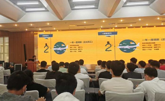 又是一拔插苗季，小花绽放正待时